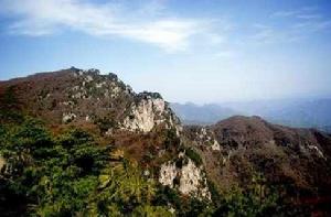 王順山國家森林公園 王順山國家森林公園