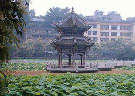 富順鎮[四川省綿陽市三台縣富順鎮]