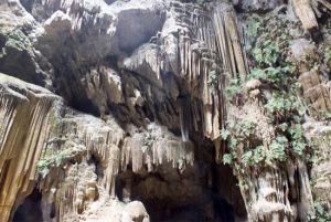 普定蓮花古洞 普定蓮花古洞