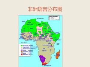 非洲語言 非洲語言