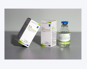 依替米星注射液 依替米星注射液