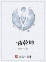 一夜乾坤 一夜乾坤
