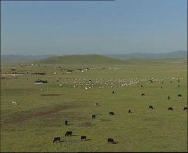 美仁大草原 美仁大草原