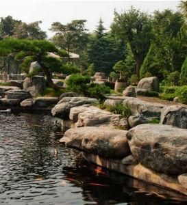 中國唐苑 中國唐苑