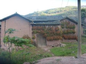 上小沖村 上小沖村