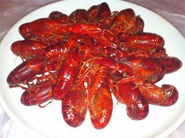 靚靚蒸蝦 靚靚蒸蝦