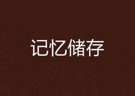 記憶儲存 記憶儲存