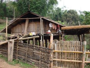 南主新寨村 南主新寨村