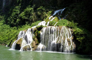 張家界大鯢自然保護區