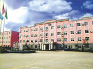 河北東方綠樹食品有限公司 河北東方綠樹食品有限公司