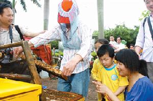 （圖）蜜蜂博物館