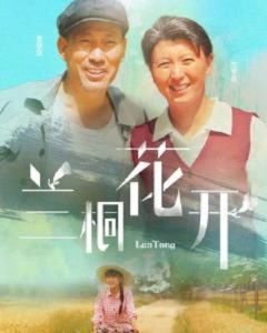 蘭桐花開 蘭桐花開