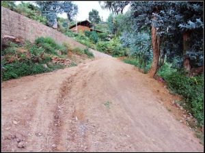 高營沙河村 高營沙河村