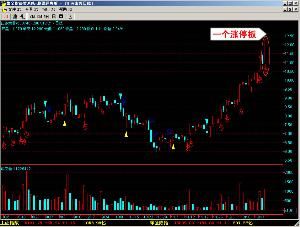 契約型開放式基金 契約型開放式基金