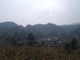 新田村[雲南省鎮雄縣五德鎮新田村]