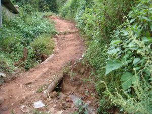 張桿箐自然村 張桿箐自然村