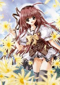 利希安瑟絲 利希安瑟絲