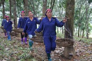 （圖）中坤農場