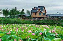 柳壕濕地公園 柳壕濕地公園