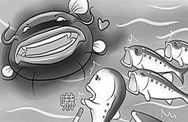 鯰魚的效應 鯰魚的效應