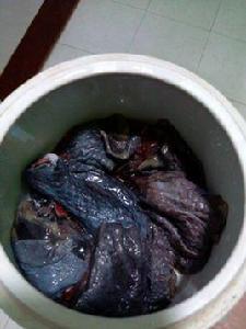 靈芝燉烏雞煲 靈芝燉烏雞煲