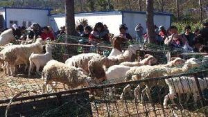 嶗海生態園 嶗海生態園