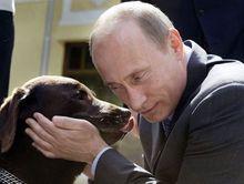 愛犬科尼經常隨普京出現在各種場合