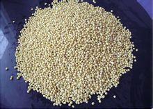 植物性蛋白飼料 植物性蛋白飼料