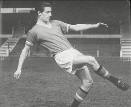 維奧萊特 維奧萊特