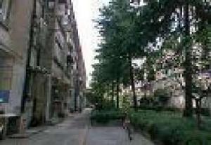 歐陽路300弄小區 歐陽路300弄小區