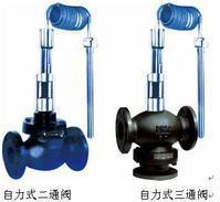 自力式控制閥 自力式控制閥