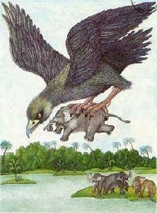 Roc(巨鵬) Roc(巨鵬)