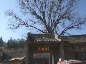 龍盤寺[浙江金華市金東區龍盤寺]