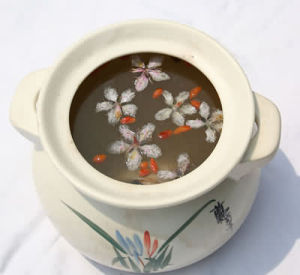 黃耆赤昆湯 黃耆赤昆湯