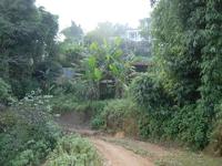 昔元村村內道路