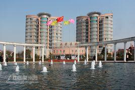 大宗集團 大宗集團