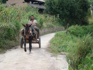 七屯自然村 七屯自然村