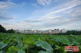 勝利鎮[黑龍江省賓縣勝利鎮]