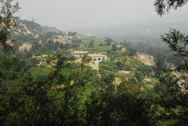 辛安村[山東黃島區辛安街道下轄村]