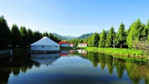 尼勒克次森林度假村 尼勒克次森林度假村