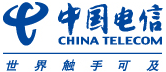 中國電信集團系統集成有限公司
