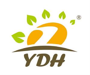 廣東耀東華裝飾材料科技有限公司 廣東耀東華裝飾材料科技有限公司