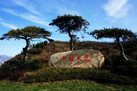 十堰大道 十堰大道