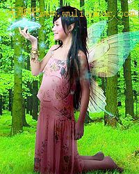 《Stephy Fantasy》