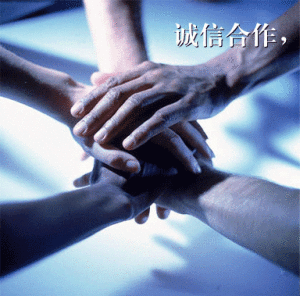 誠信合作