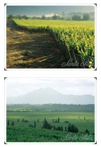 桑塔麗塔酒莊