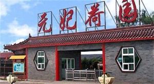 元妃荷園綜合遊樂場 元妃荷園綜合遊樂場