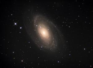 M81