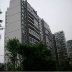 瑞祥御錦 瑞祥御錦