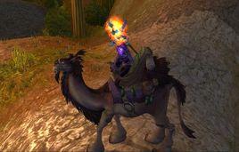 棕色騎乘駱駝 棕色騎乘駱駝